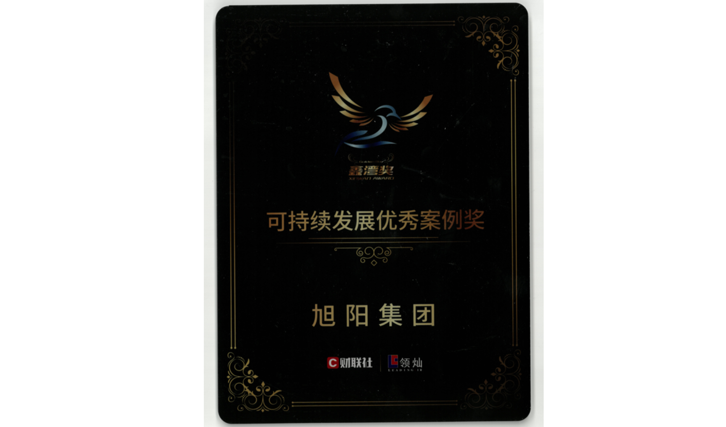 中国旭阳集团荣膺“可持续发展优秀案例奖”及”最佳出海企业样本”